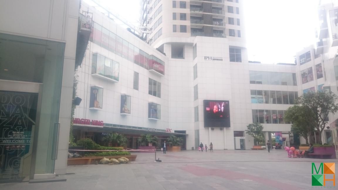 thi-cong-giay-dan-tuong-tai-toa-nha-IPH (1)